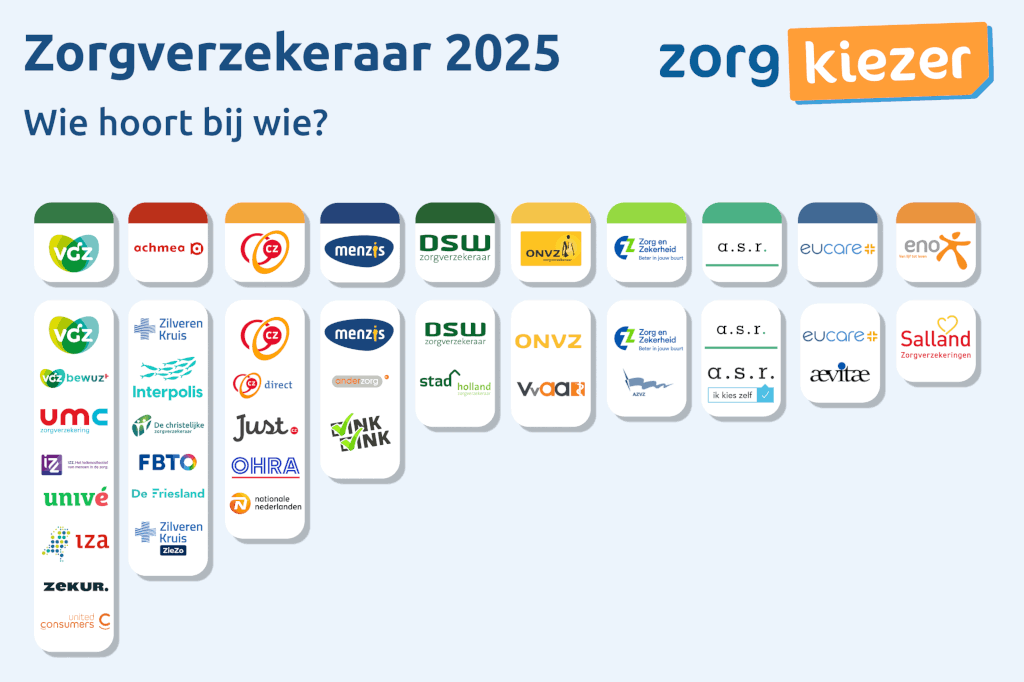 Zorgverzekeraars marktaandeel Infographic 2025